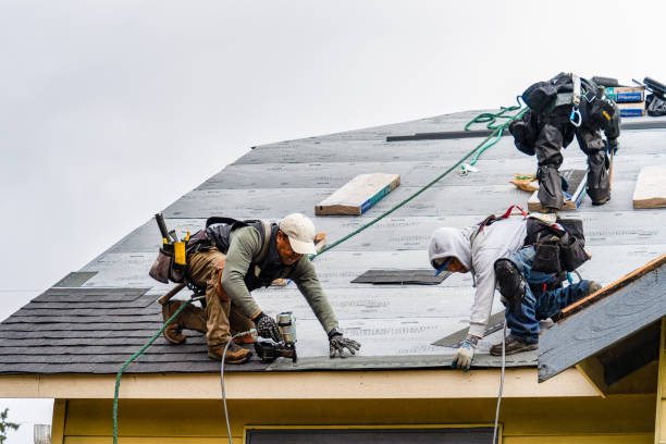 Professional Gutter Installation technician working in Jefferson City, TN